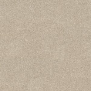 Dune View Vivid Touch I