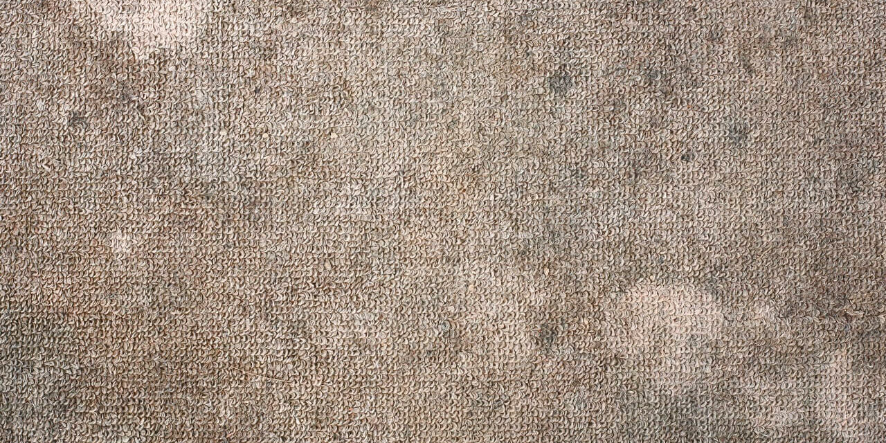 AdobeStock_132920807 Large (1)