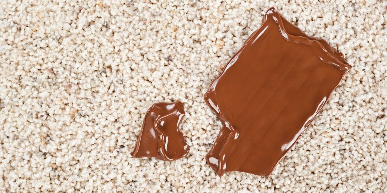 AdobeStock_157103769 Large