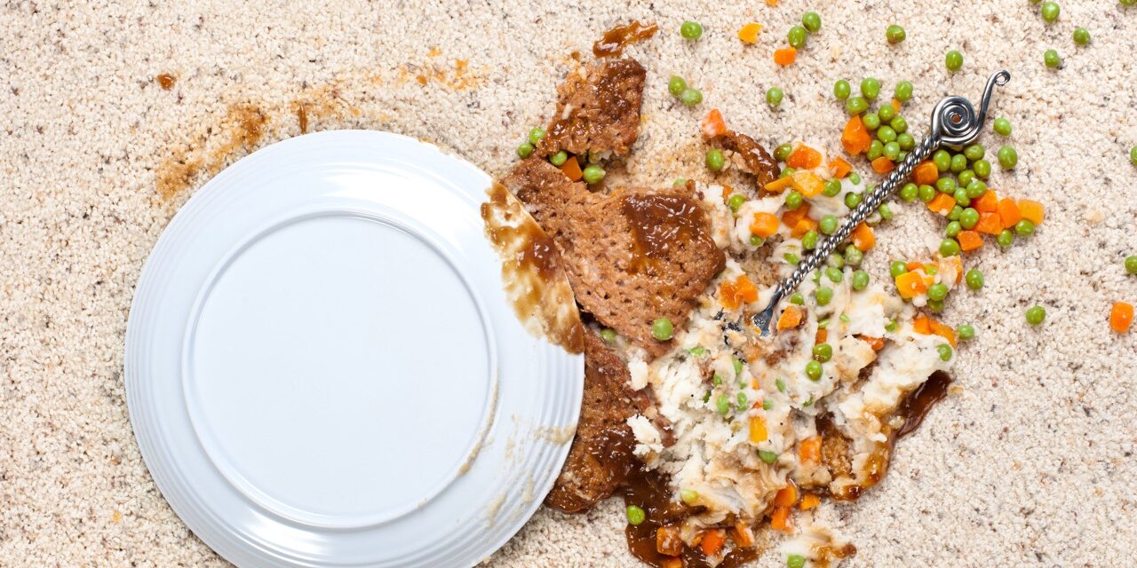A plate of food including meatloaf, mashed potatoes peas, carrots and gravy spilled on new carpet.