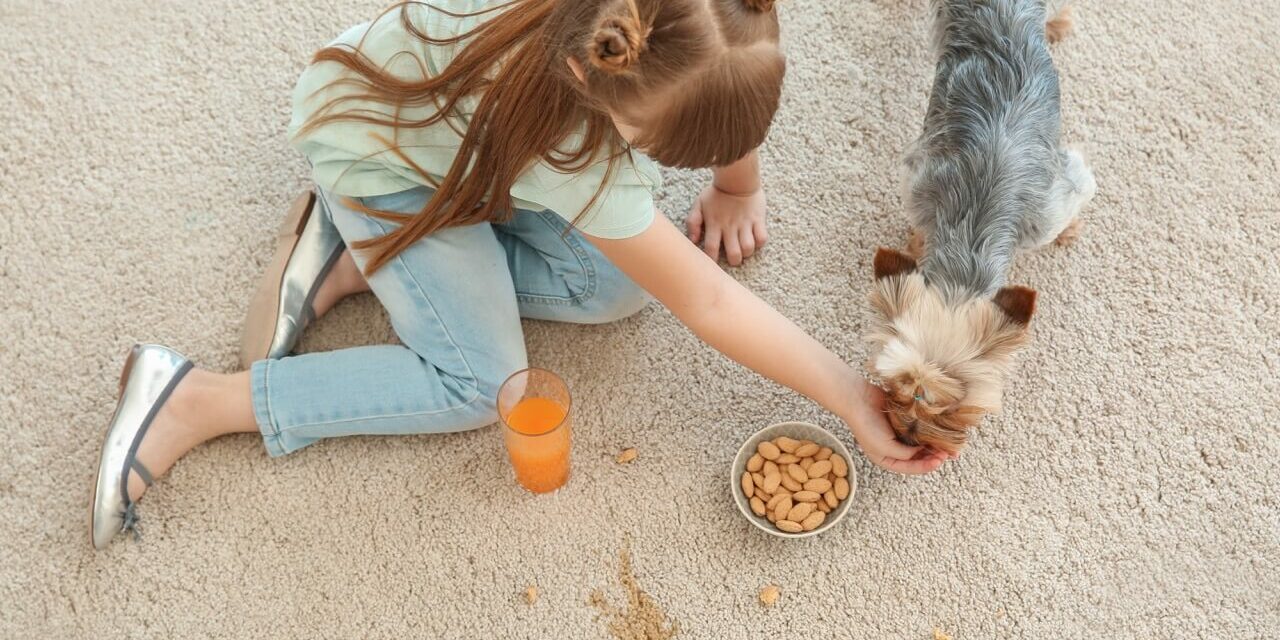 AdobeStock_281743904 Large (1)