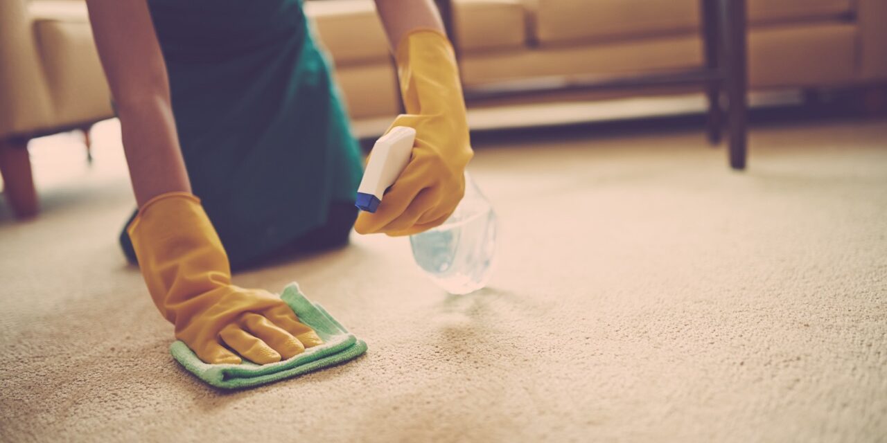 Female cleaner using spray stains remover