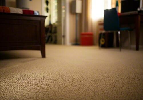 Shaw Carpet Preventative Care | Diversified Flooring